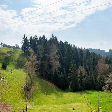 Bauernhof Bergbauernhof 1910 Oberharmersbach