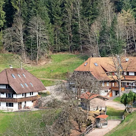 Bergbauernhof 1910 Bauernhof Oberharmersbach