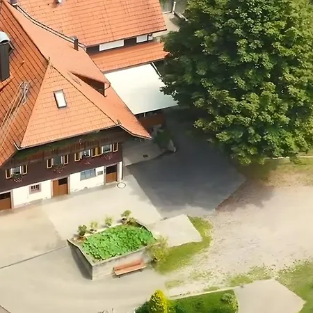Bergbauernhof 1910 أوبيرهارميرسباخ